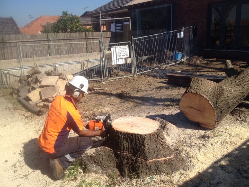 Land Clearing Sydney